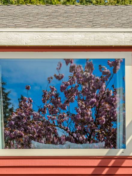 the-roof-of-the-house-with-nice-window-2026-03-26-10-44-25-utc (1)